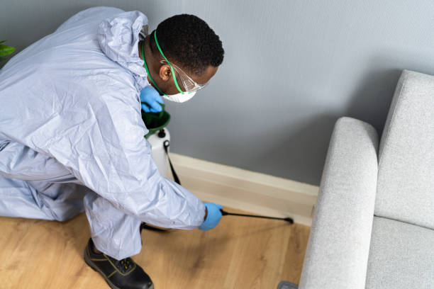 Best Bed Bug Extermination  in USA